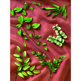 Assortiment de Feuillage 