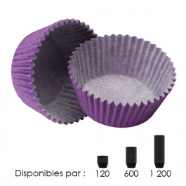 Caissettes Standard Violettes