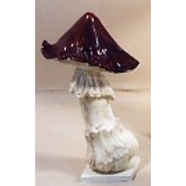 Champignon Amanite 