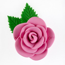 Colorant Pâte Rose, Réalisation