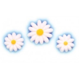 Motifs en Sucre, Marguerites