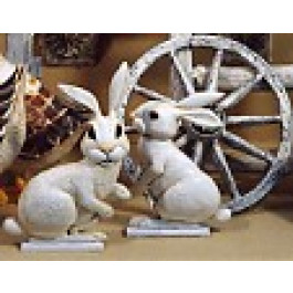 Lapin Profil
