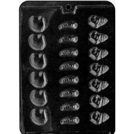 Moule à Chocolat, Assortiment Coquillage