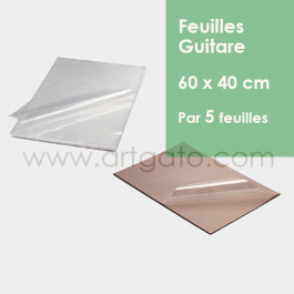 5 Feuilles Guitare | 60 x 40 cm