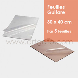 5 Feuilles Guitare | 30 x 40 cm