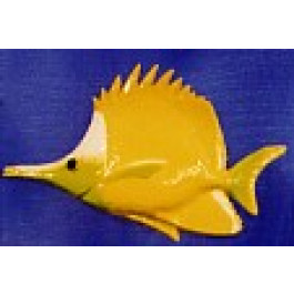 Poisson Chetodon Bec