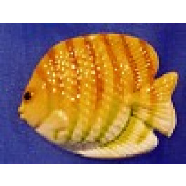 Poisson Papillon