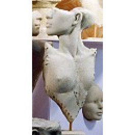 Buste Profil Gauche