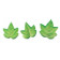 Feuilles de Lierre