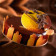 10 Moules à Entremets thermoformés | ROND - Idée de réalisations