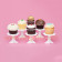 Mini Présentoirs Cupcakes, jeu de 6