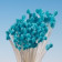 Pistils (Etamines) | Petit Epi BLEU TURQUOISE