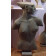 Torse Femme Droit