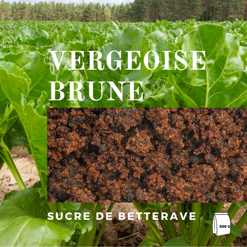 Saint Louis Vergeoise Brune Sucre 500g