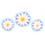 Motifs en Sucre, Marguerites