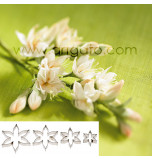 DECOUPOIRS FLEURS | Calice 6 Pointes, Jeu de 4 Tailles