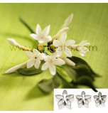 DECOUPOIRS FLEURS | Stephanotis