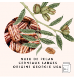 Noix de Pécan - Cerneaux