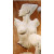 F - Torse Femme Gauche, 64 x 35,5 cm