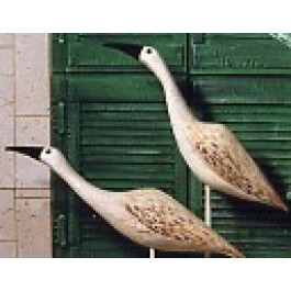 Bernache Tête Basse