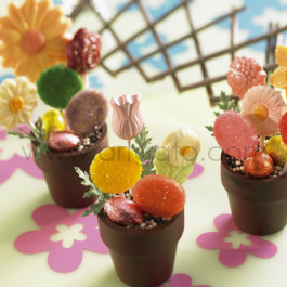 Moule Sucettes Chocolat, Fleurs Assorties