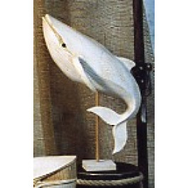 Baleine Moyen Modèle