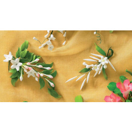 Assortiment Jasmin