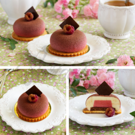 Fèves Tonka - Recette - Entremets Framboise Chocolat Tonka