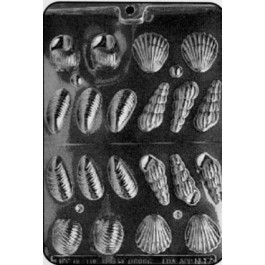 Moule à Chocolat, Assortiment Coquillages 3D