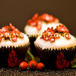 Caissettes Cupcakes - Madeleine - Mini - Vestli House - Réal