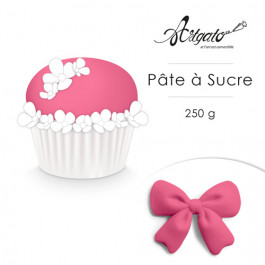 Pâte à Sucre 250 g - Rose Corail