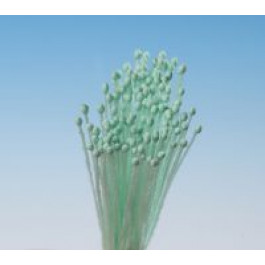 Pistils (Etamines) | Tête d’Epingle BLEU PALE