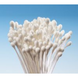 Pistils (Etamines) | Tête d’Epingle BLANCHE