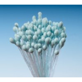 Pistils (Etamines) | Petit Epi BLEU MYOSOTIS