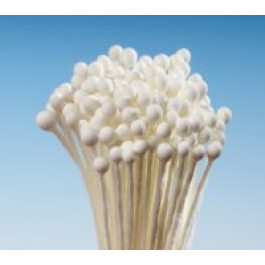 Pistils (Etamines) | Tête d’Epingle IVOIRE