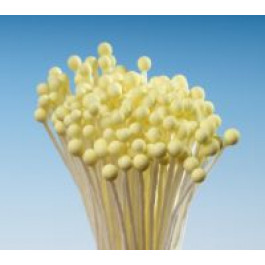 Pistils (Etamines) | Tête d’Epingle JAUNE PALE