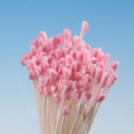 Pistils (Etamines) | Petit Epi ROSE à tige blanche