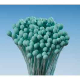 Pistils (Etamines) | Tête d’Epingle VERTE