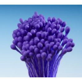 Pistils (Etamines) | Tête d’Epingle VIOLETTE