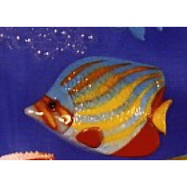 Poisson Duc