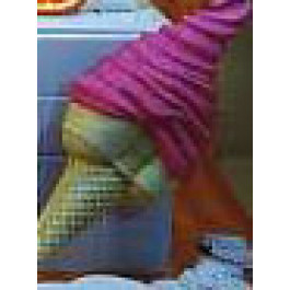 Glace Italienne Grand Modèle