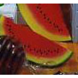 Pastèque Tranche Petit Modèle