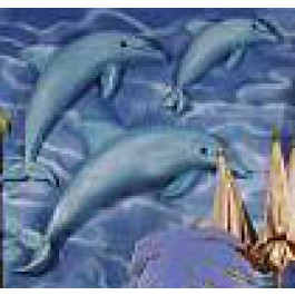 Dauphin Petit Modèle