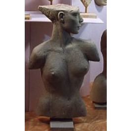 Torse Femme Droit