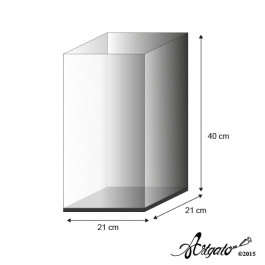 Vitrine | Haut. 40 cm - 21 x 21 cm