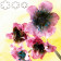 DECOUPOIRS FLEURS | Fleur 6 Pétales - Taille Moyenne