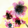 DECOUPOIRS FLEURS | Fleur 6 Pétales - Taille Moyenne