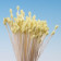 Pistils (Etamines) | Petit Epi JAUNE à tige blanche
