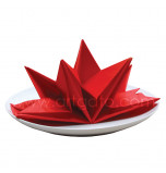 Paper Napkins | Red, Fancy Fold - Box of 12