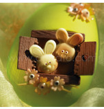 5 Entremets Moulds + 1 Chocolate Mould | EASTER EGG/BUNNY HUT - 17,5 x 14 x 6 cm Deep